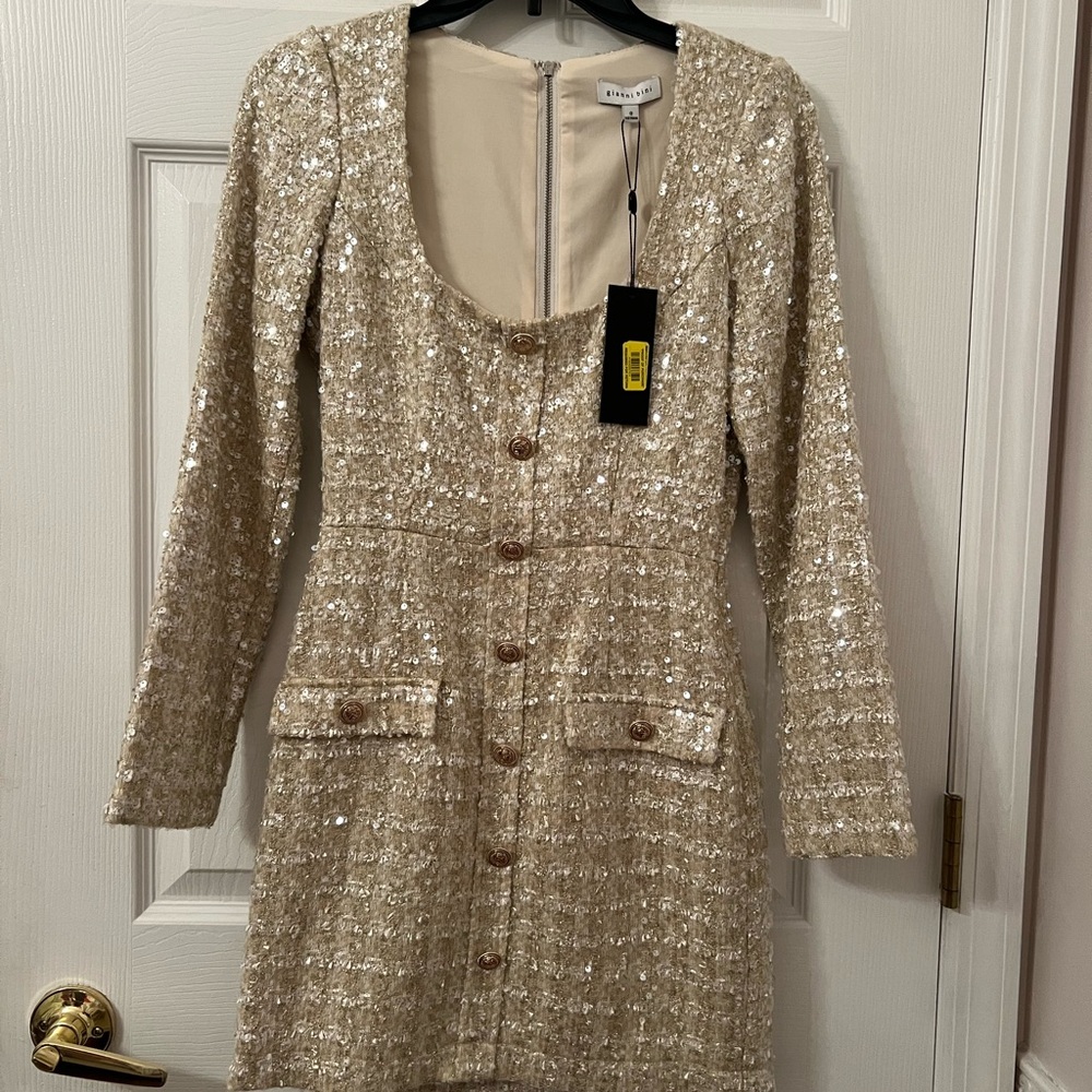 Elegant Sequin Button-Down Dress